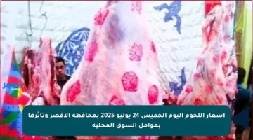أسعار اللحوم اليوم الخميس 24 يوليو 2025 بمحافظة الأقصر وتأثرها بعوامل السوق المحلية
